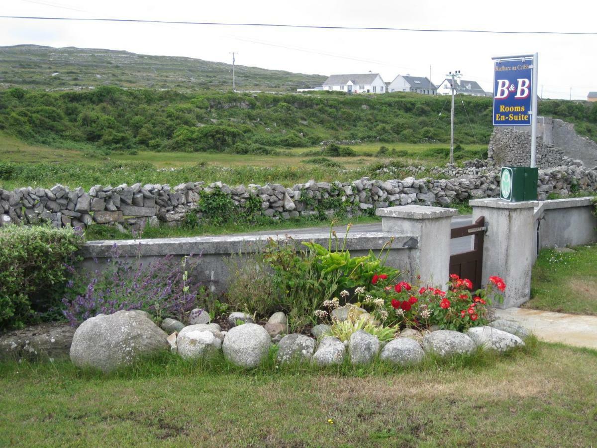 Radharc Na Ceibhe B&B H91 V0Y3 Kilronan  Buitenkant foto